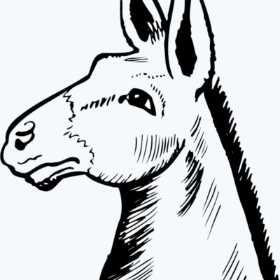 Animals Thumbnail