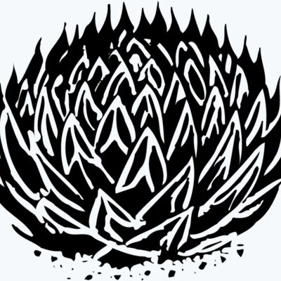 Plants Thumbnail